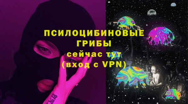 ALPHA-PVP Алексеевка