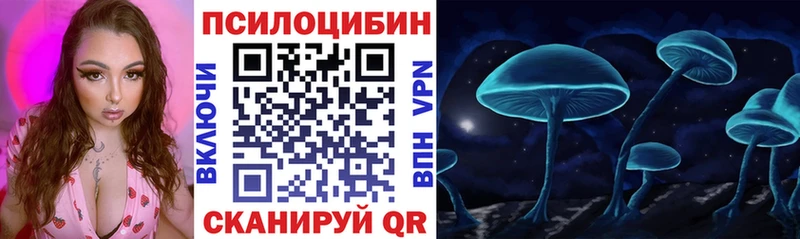Псилоцибиновые грибы Psilocybine cubensis  Пролетарск 