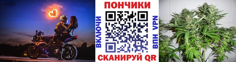 Марихуана ГИДРОПОН  магазин  наркотиков  Пролетарск 